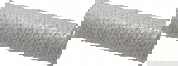 Plumbing Cartridge Filter: 2-1/2